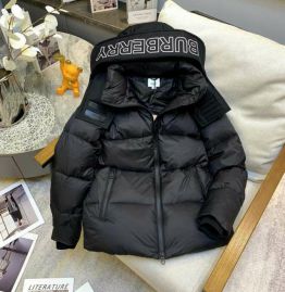 Picture of Burberry Down Jackets _SKUBurberryS-XLLCn338632